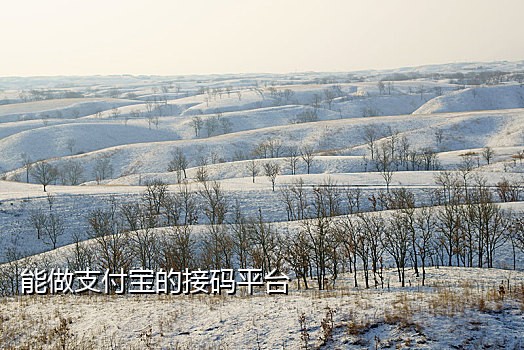 什么接码平台能注册支付宝