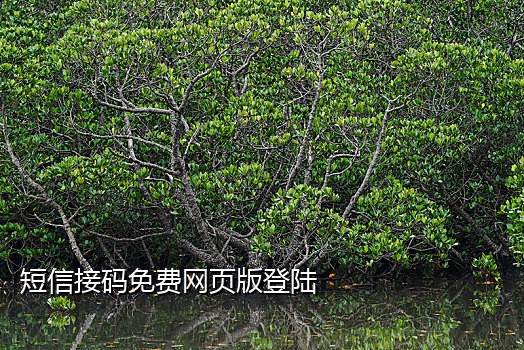 小红书接码平台是什么意思