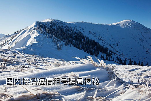 软件注册新号手机号接码