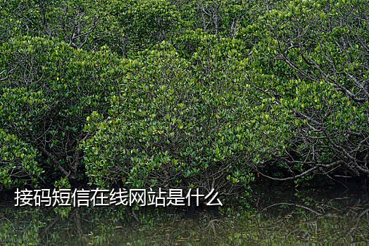 日本虚拟手机接码