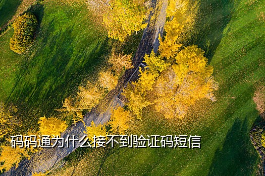 日本手机号接码短信平台