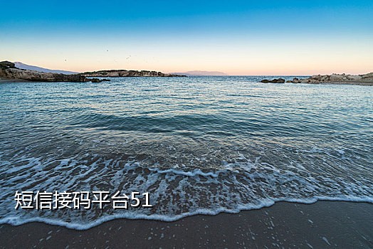 全新国外美国短信接码