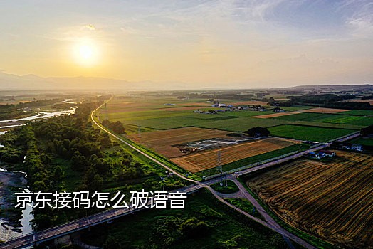 苹果多次接码