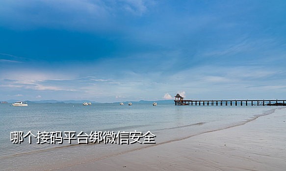 免费验证码接码短信平台