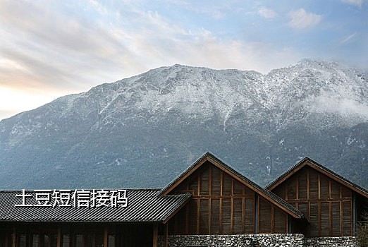 免费接验证码手机号
