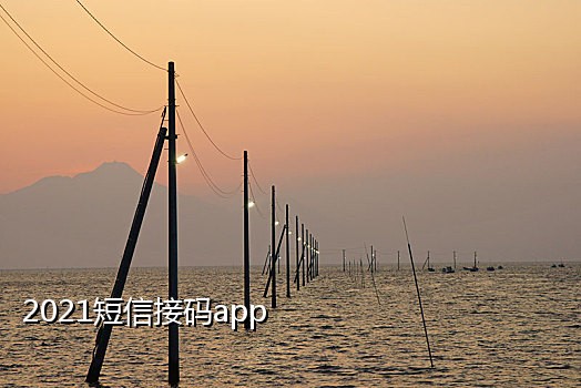 免费的接短信验证码