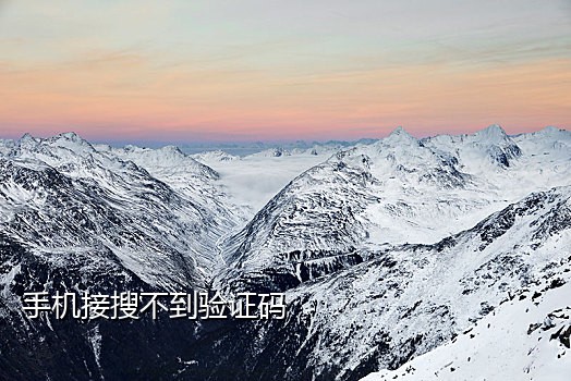 美团总接不到验证码