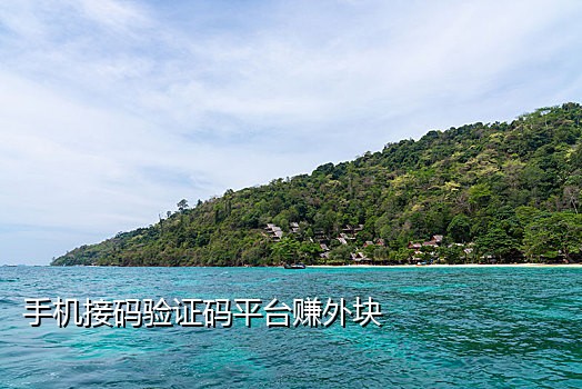 芒果接码手机app