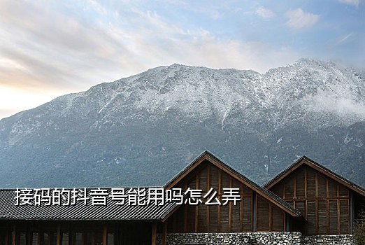 流星接码手机版下载安装