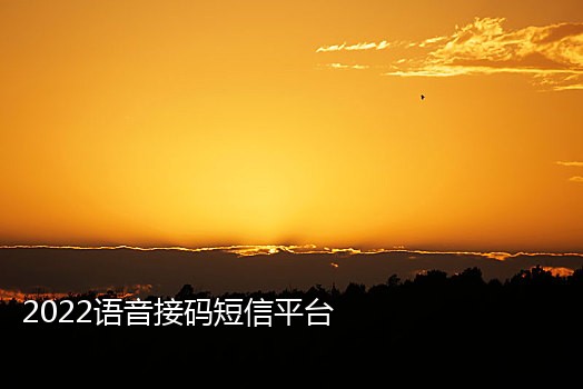 空号手机接码平台下载安装
