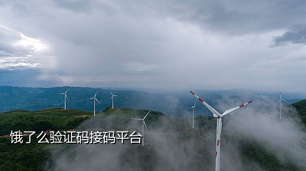 可以接美团的接码平台