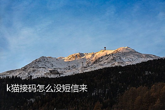 看爱奇艺接码