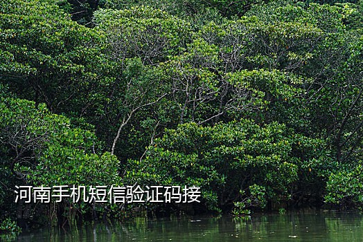 开通漫游接不到短信验证码