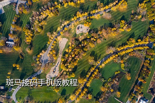 卡商接码知乎