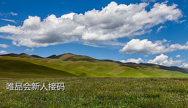 聚源接码能注册快手吗