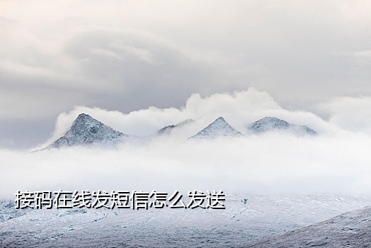京东接码下载