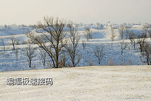 京东接码拉新案件