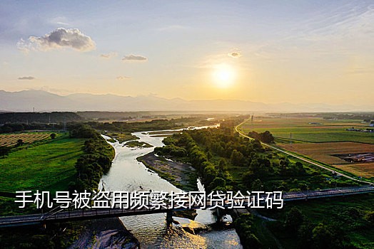 接码实名手机卡平台