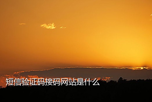 接码软件苹果系统