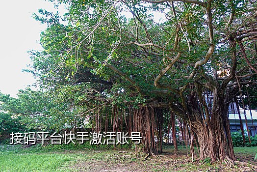 接码平台微信注册不了