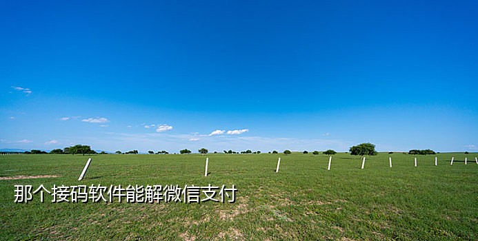 接码平台手机号新