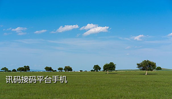 接码平台手机号是最新的吗