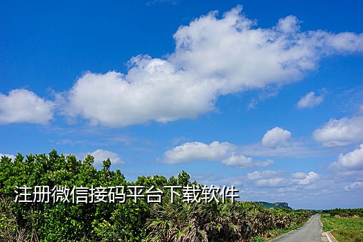 接码平台能发送短信