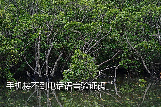 接码平台美团用不了