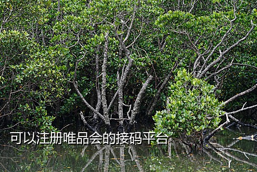 接码平台获取手机号违法吗