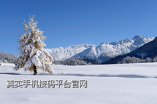 接码平台还能注册微信吗