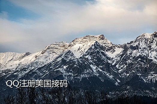 接码平台的手机号找不到了