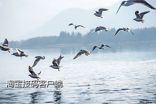 接码平台 注册过淘宝