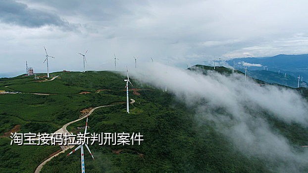 接码品台的手机号怎么来的