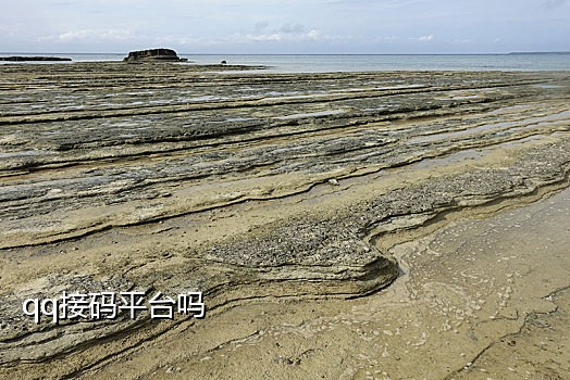 网络平台接码犯法么知乎