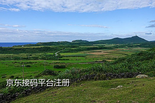 接码短信平台架设