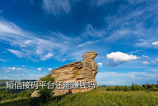 接码短信平台犯罪记录多久消除