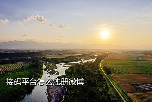 微信注册辅助验证接码平台