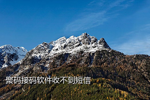 接码不限制次数的手机