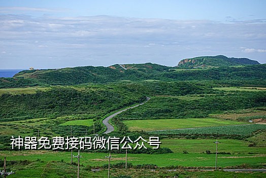 网络短信接码免费版网页