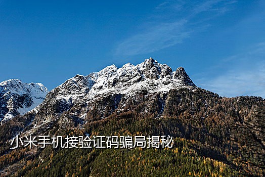 接短信验证码有延迟怎么办