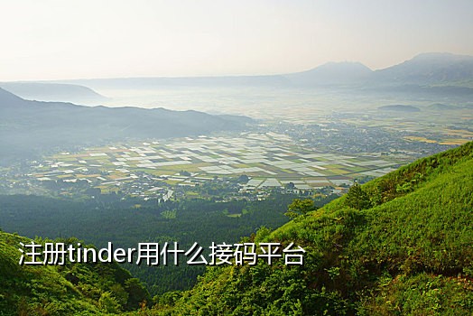 接58同城验证码平台