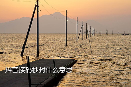 机短信接码平台