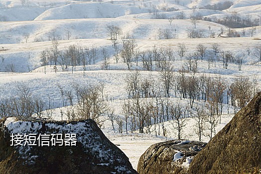 获取验证码手机短信接不到
