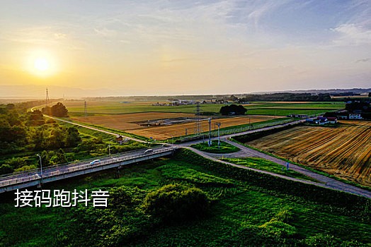 华为手机怎么接验证码短信