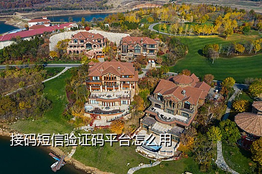 湖北公安查京东接码