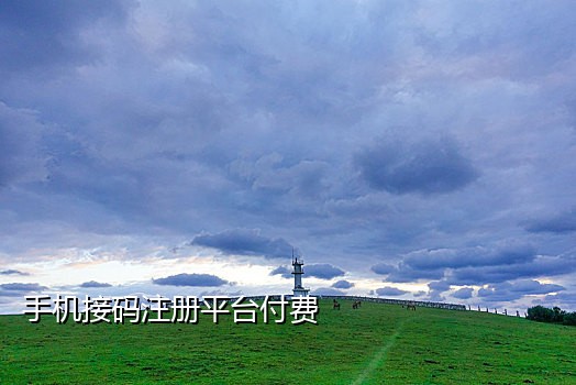 韩国接短信验证码平台6