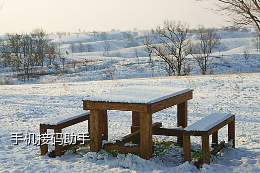 国内手机接码网站有哪些