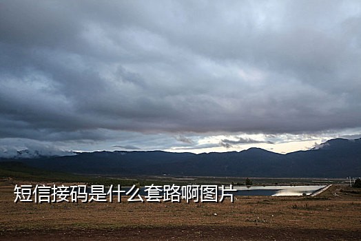 短信接码在线网站