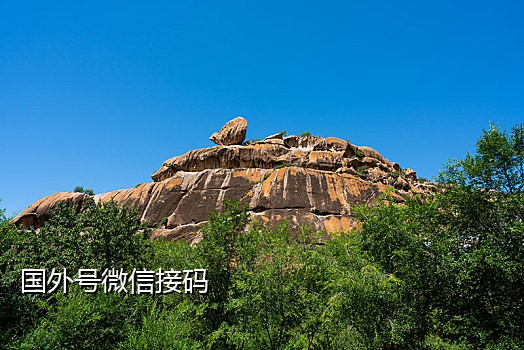微信接刷群二维码