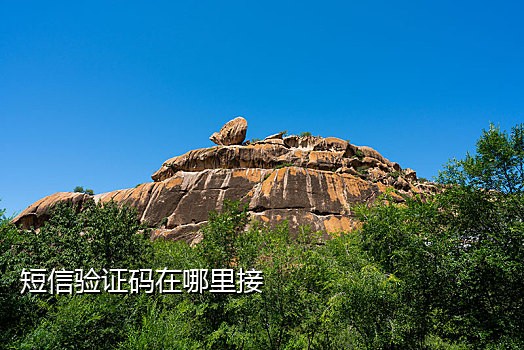 抖音接码信号